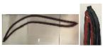 20573345/3176222/21773433 DOOR RUBBER LH for VOLVO 