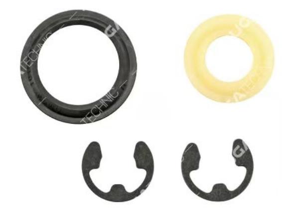 273656 SCREW KIT for SCANIA 