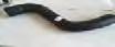 1449828 RADIATOR HOSE PIPE for SCANIA 