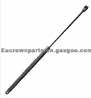 1238280 BRACE ROD for  DAF 
