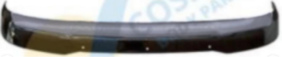  SUNVISOR for  DAF 